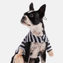 Bank Robber Dog Costume