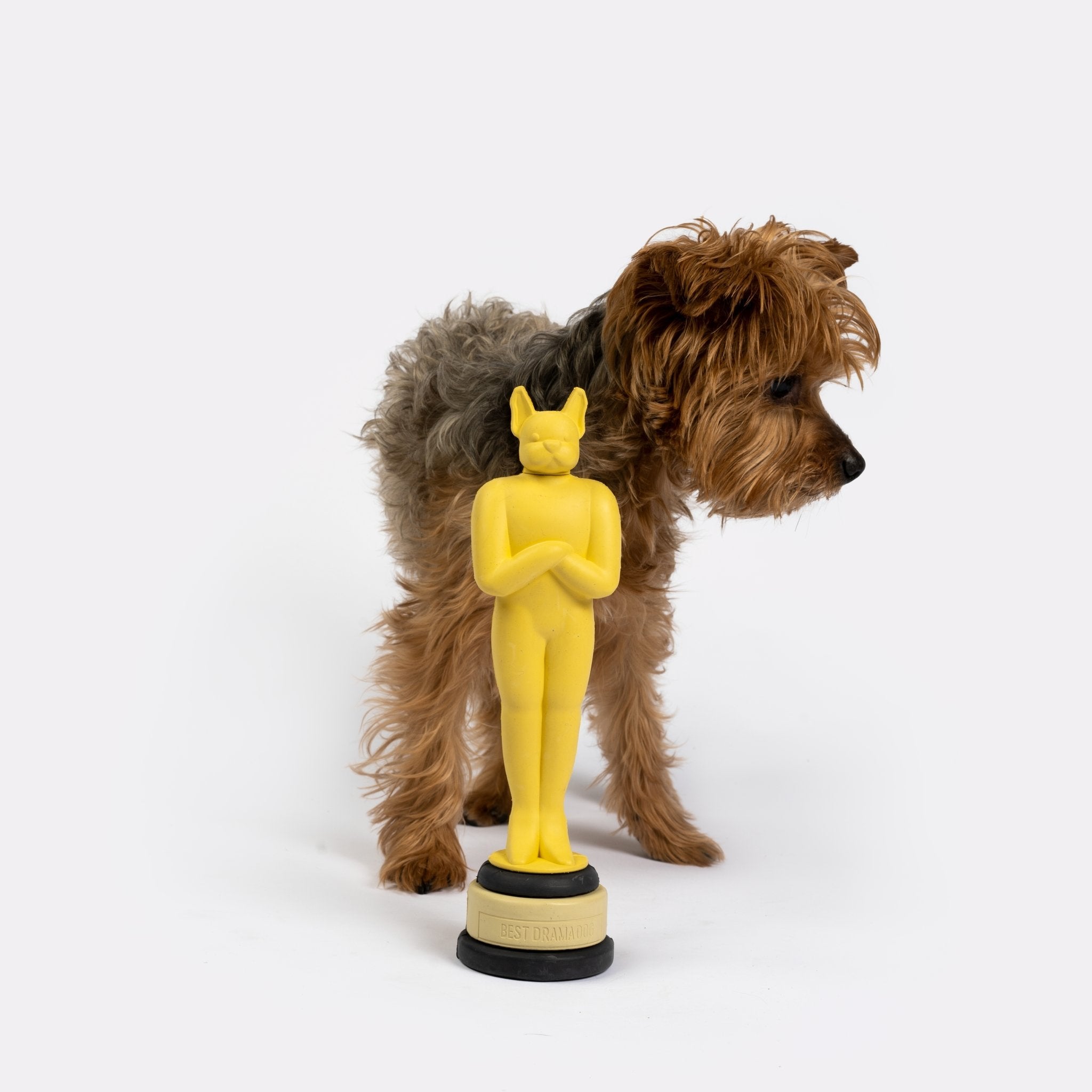 Academy Award Dog Toy Silver Paw