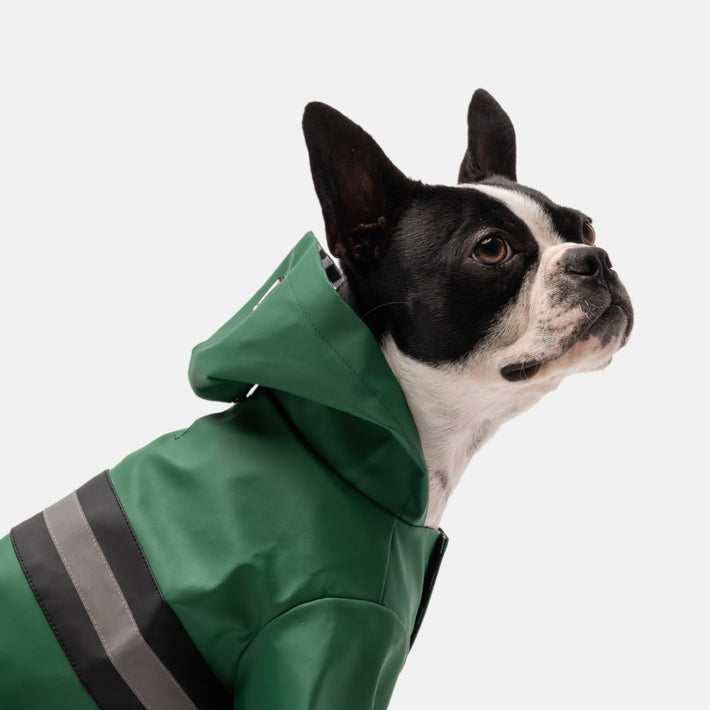 Aden Dog Raincoat - Green - Silver Paw
