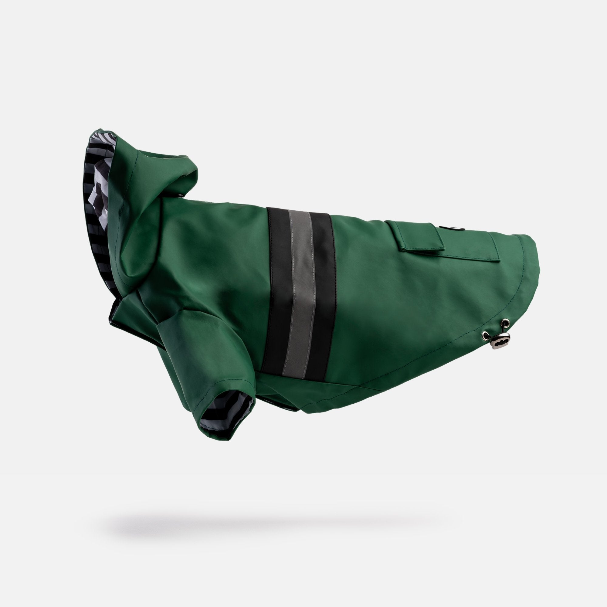 Aden Dog Raincoat - Green - Silver Paw