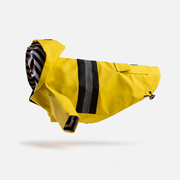 Aden Dog Raincoat - Yellow - Silver Paw