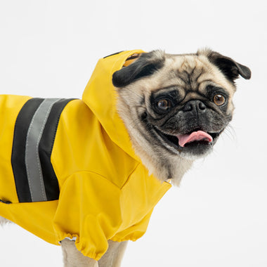 Aden Dog Raincoat - Yellow
