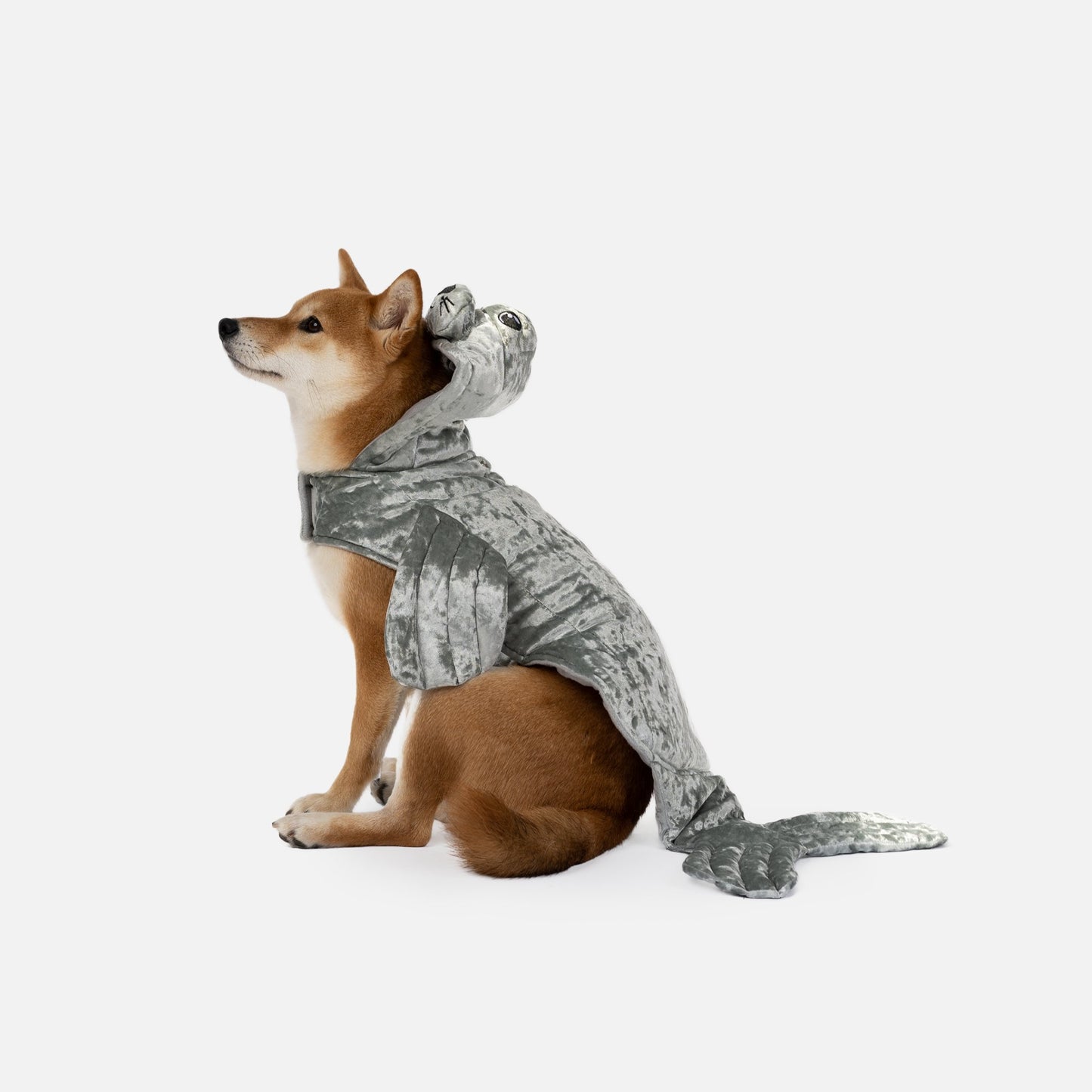 Adorable Seal Dog Costume - Silver Paw