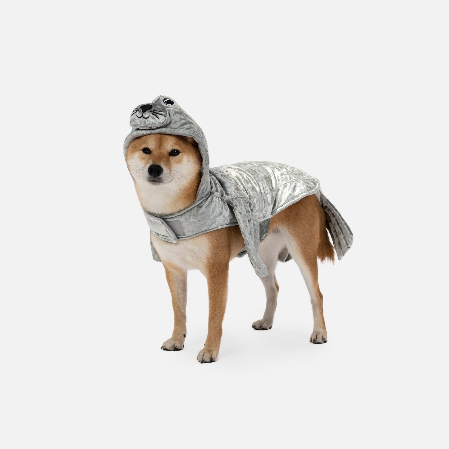Adorable Seal Dog Costume - Silver Paw