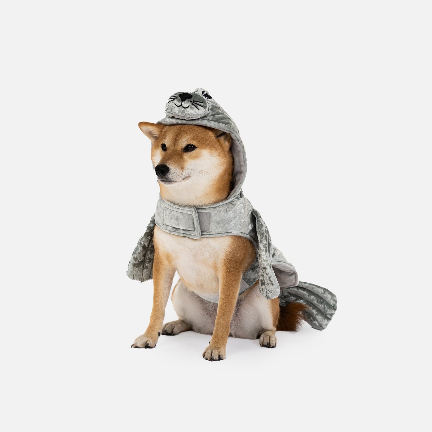 Adorable Seal Dog Costume - Silver Paw