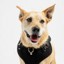 Aquafleece Dog Harness - Black