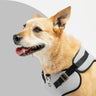 Aquafleece Dog Harness - Grey