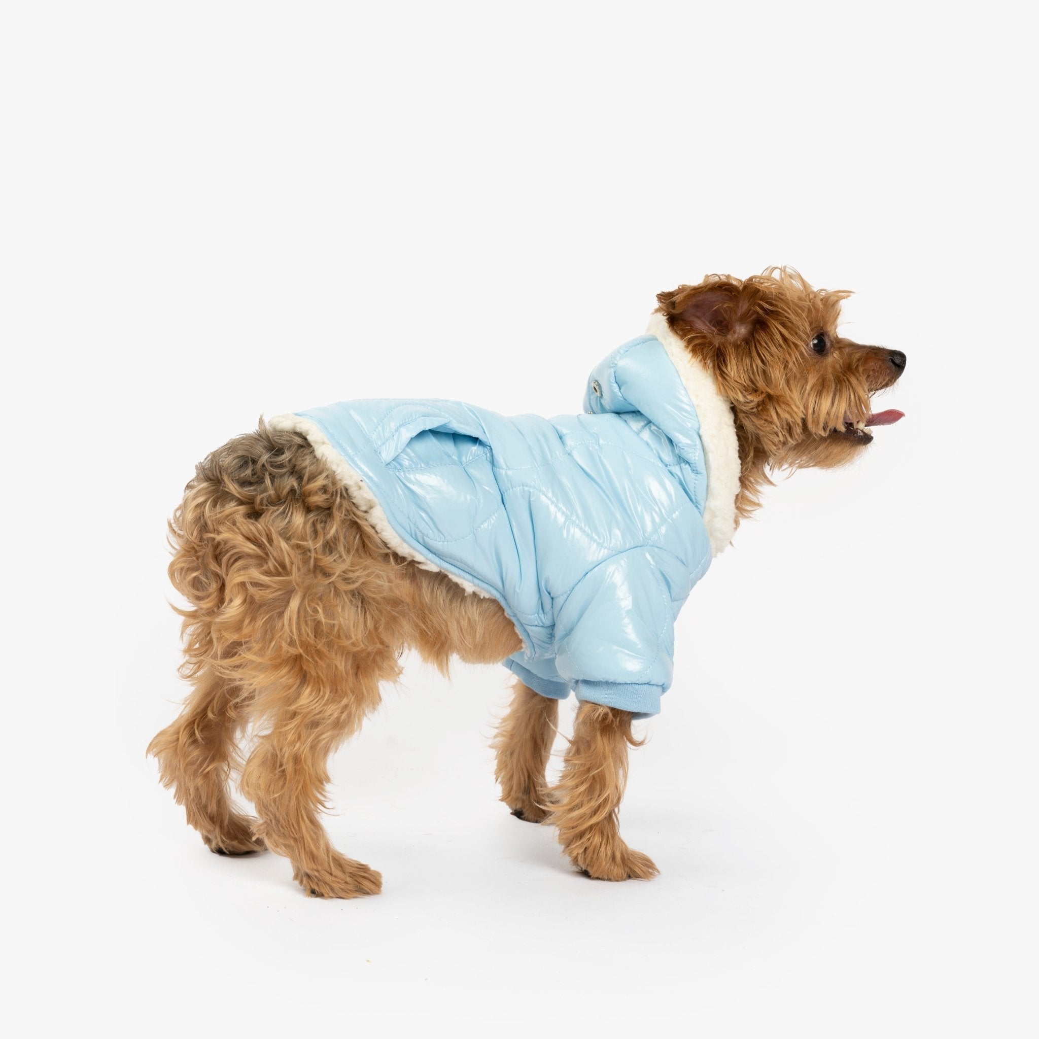 Aspen Dog Jacket - Silver Paw