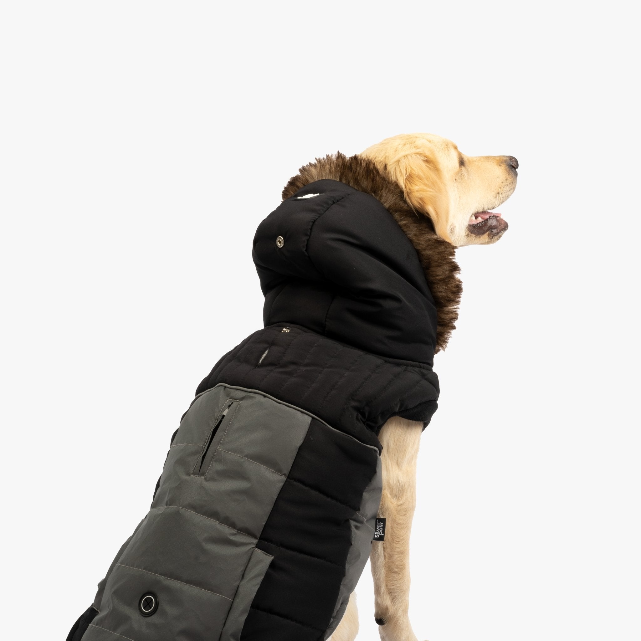 Bailey Dog Jacket Black Silver Paw
