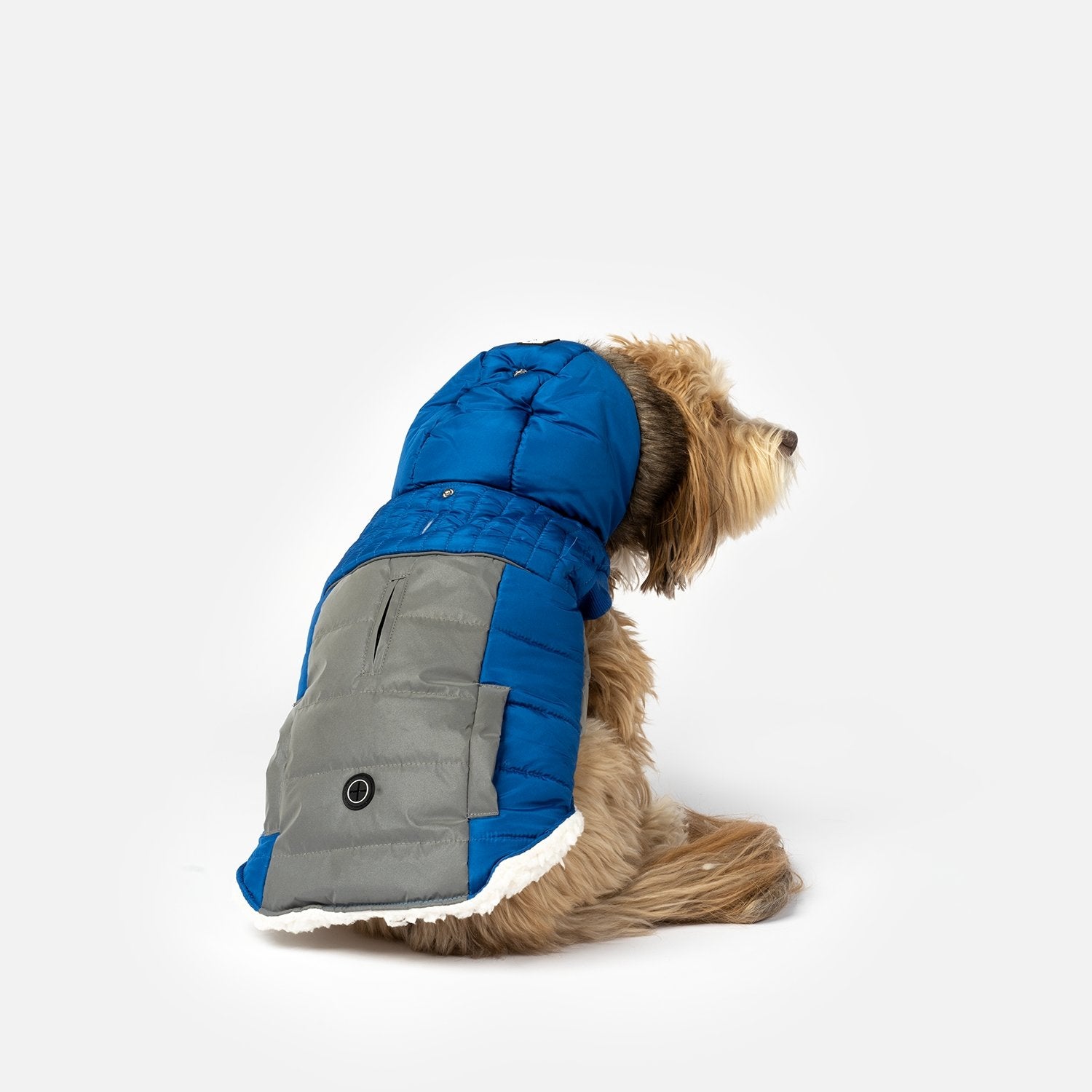 Bailey Dog Jacket - Blue - Silver Paw