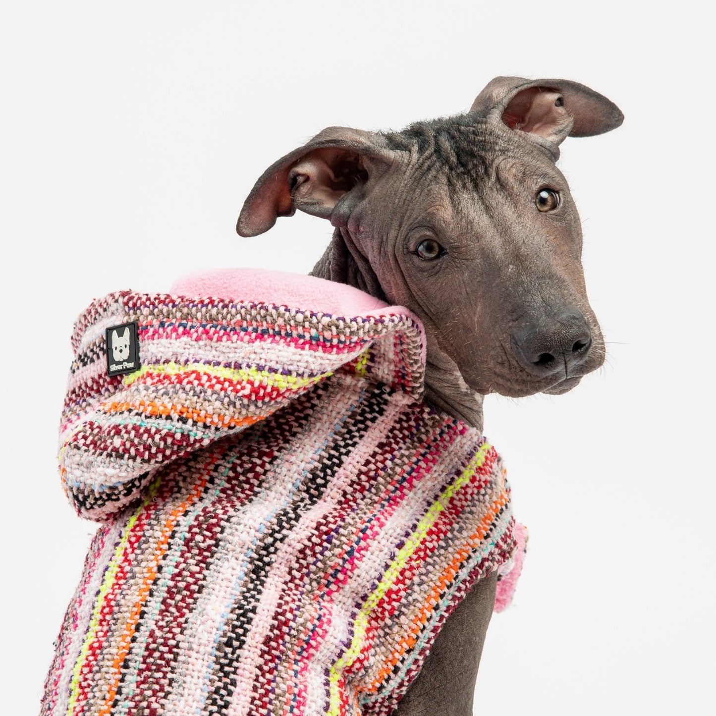 Baja Dog Poncho - Pink - Silver Paw