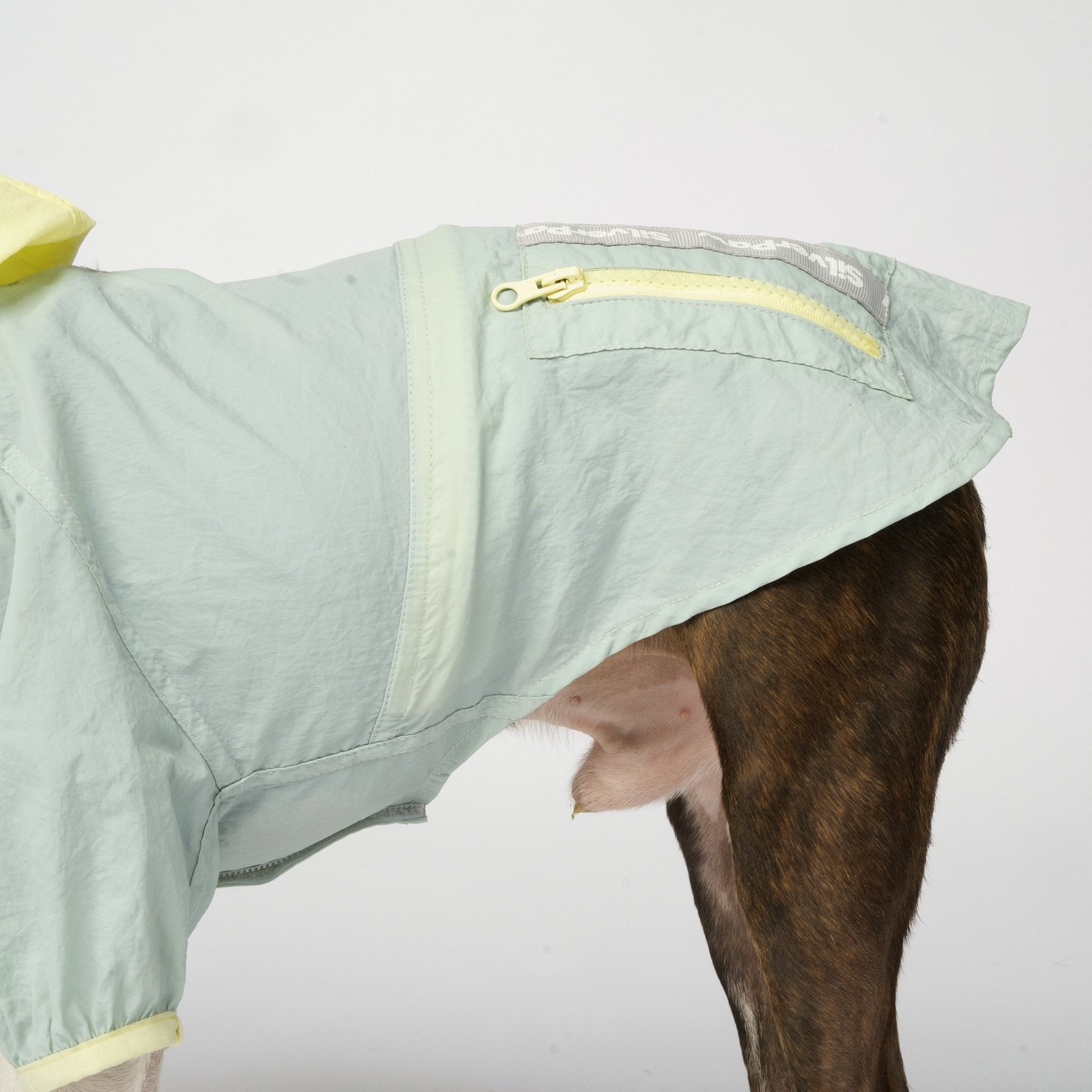 Bobbi - 2 Piece Splash Suit - Silver Paw