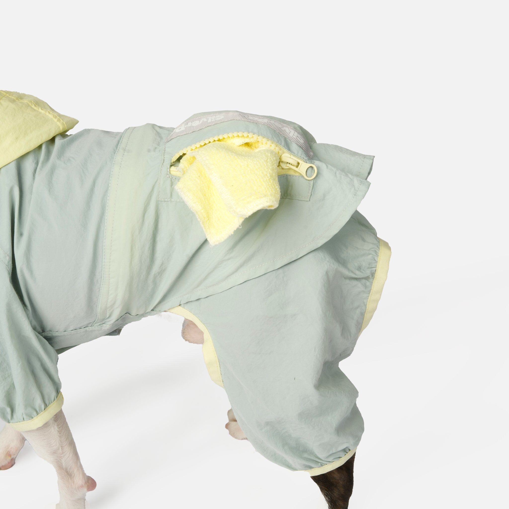 Bobbi - 2 Piece Splash Suit - Silver Paw