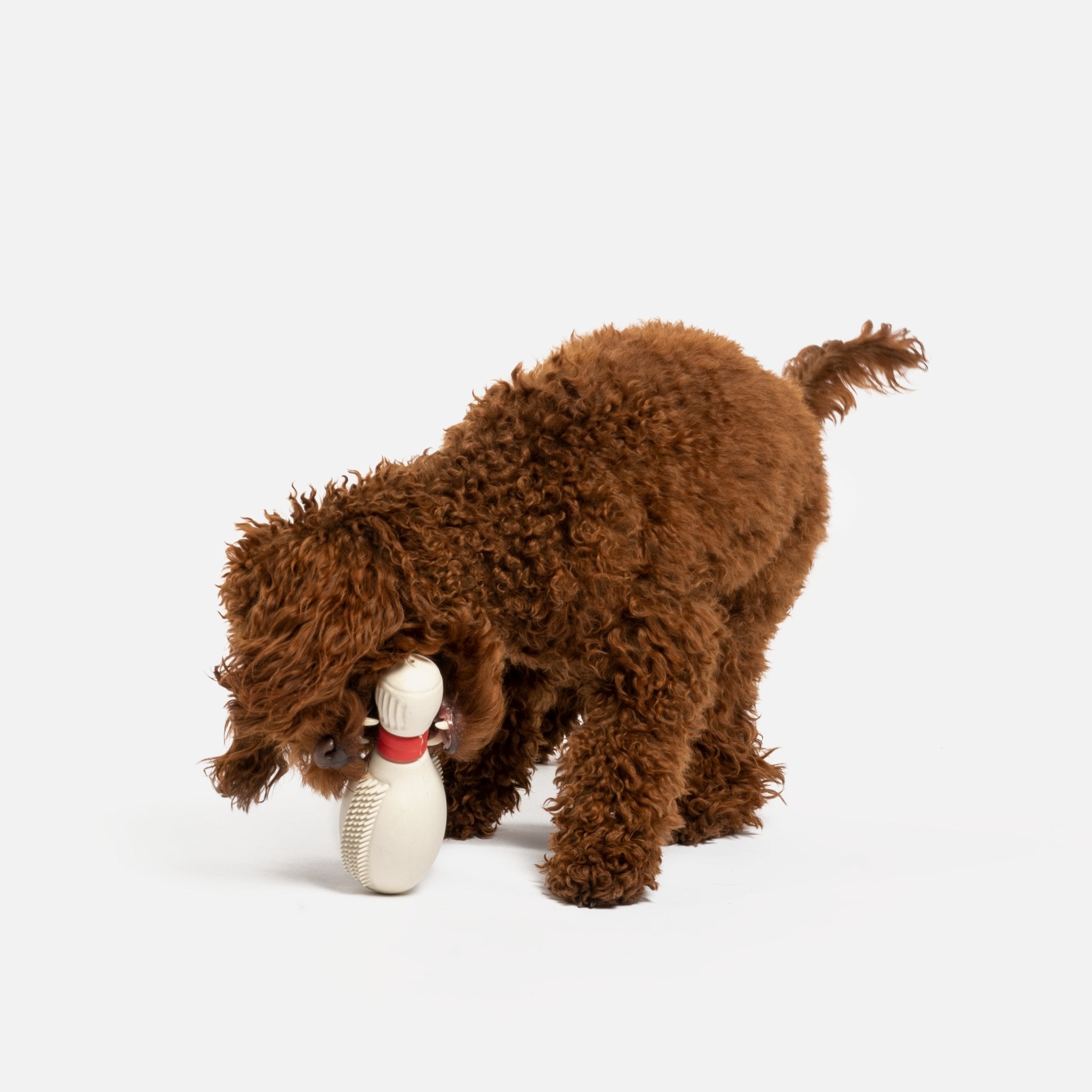 Bowling pin dog store toy