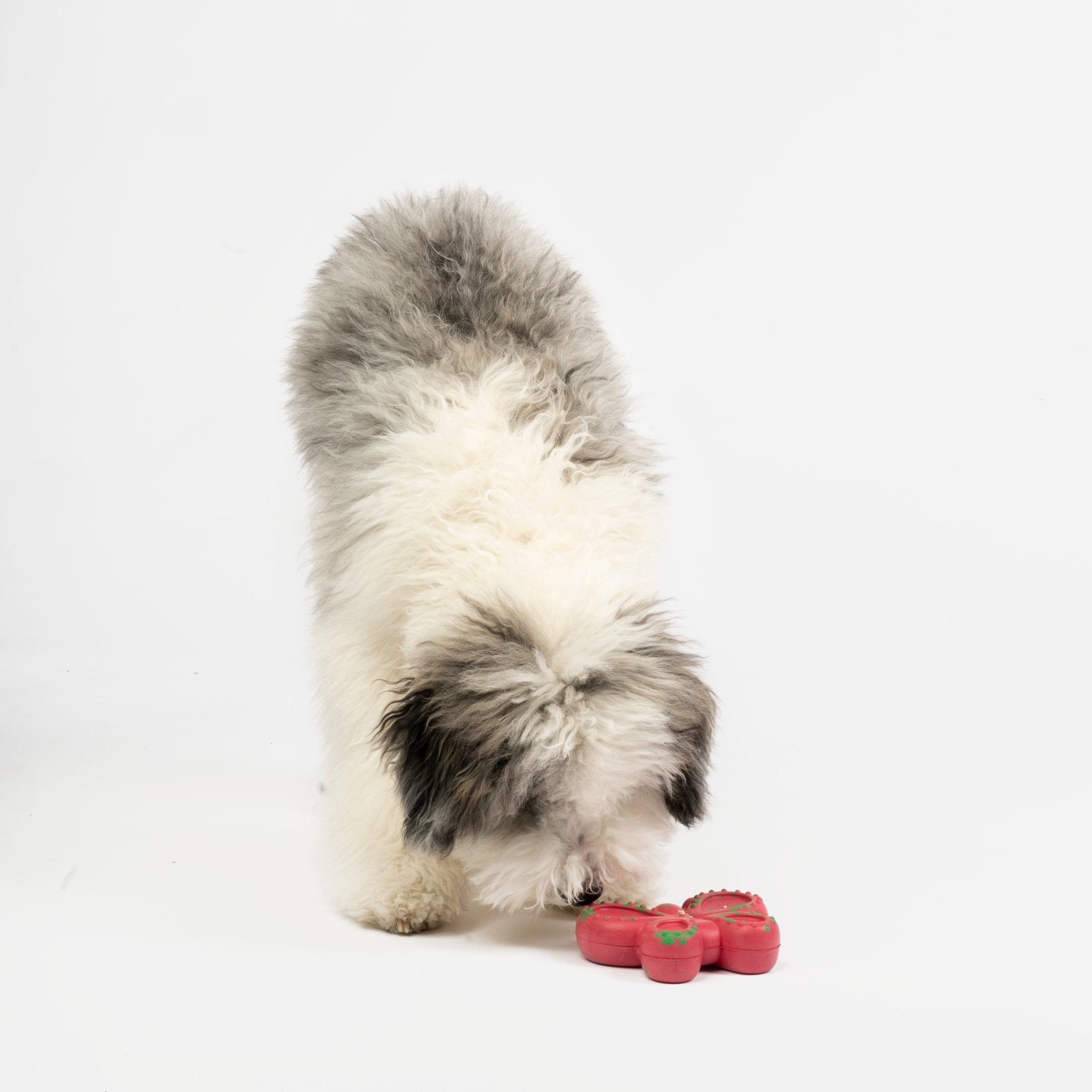 Butterfly Floating Dog Toy - Silver Paw