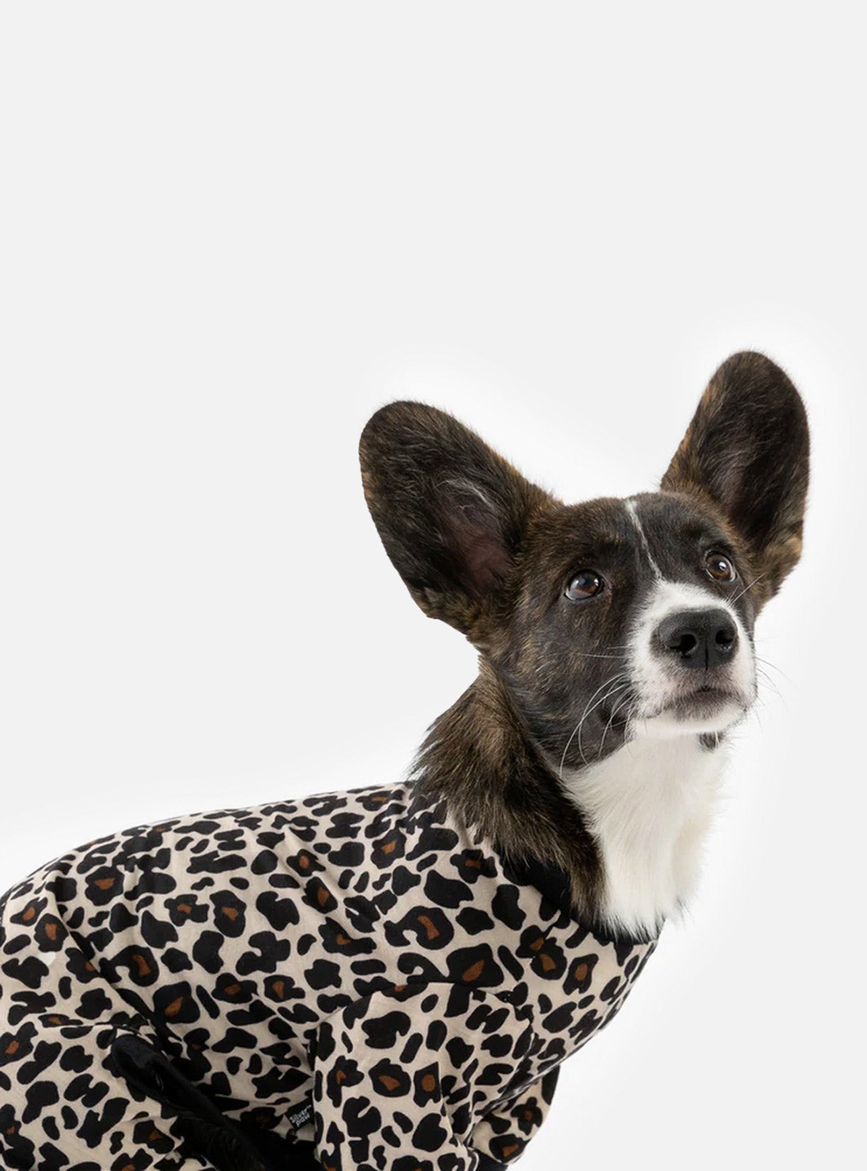 Buy One Dog Leopard PJ Get Free Human Matching - Silver Paw - 8372683 Canada Inc.