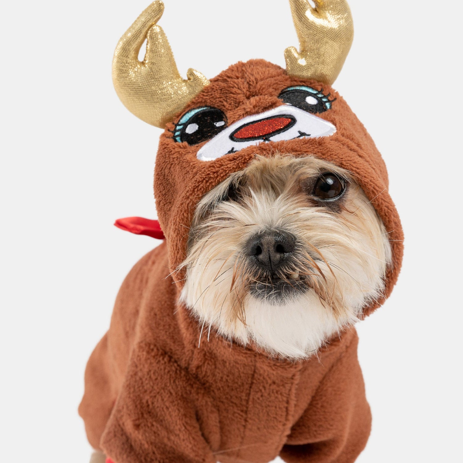 Buy One Dog Onesie Reindeer Get Free Human Matching - Silver Paw - 8372683 Canada Inc.