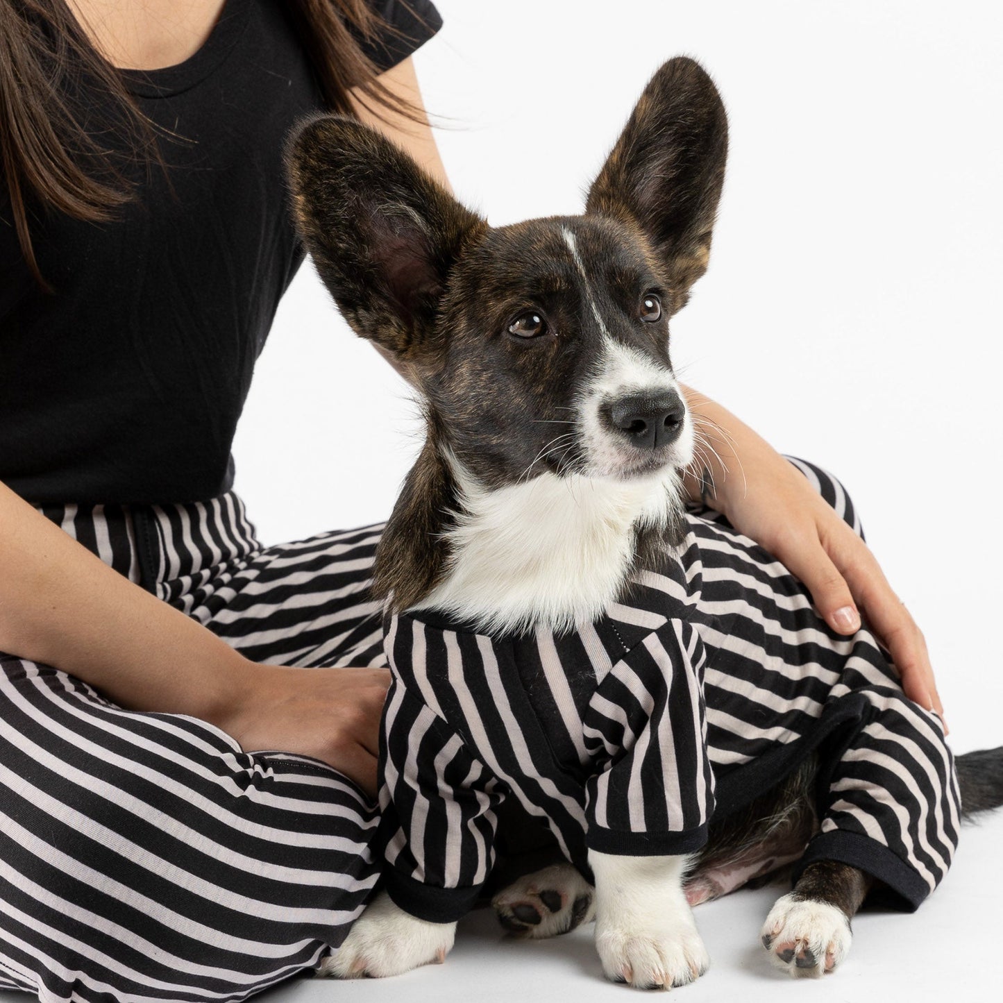 Buy One Dog Stripe PJ Get Free Human Matching - Silver Paw - 8372683 Canada Inc.