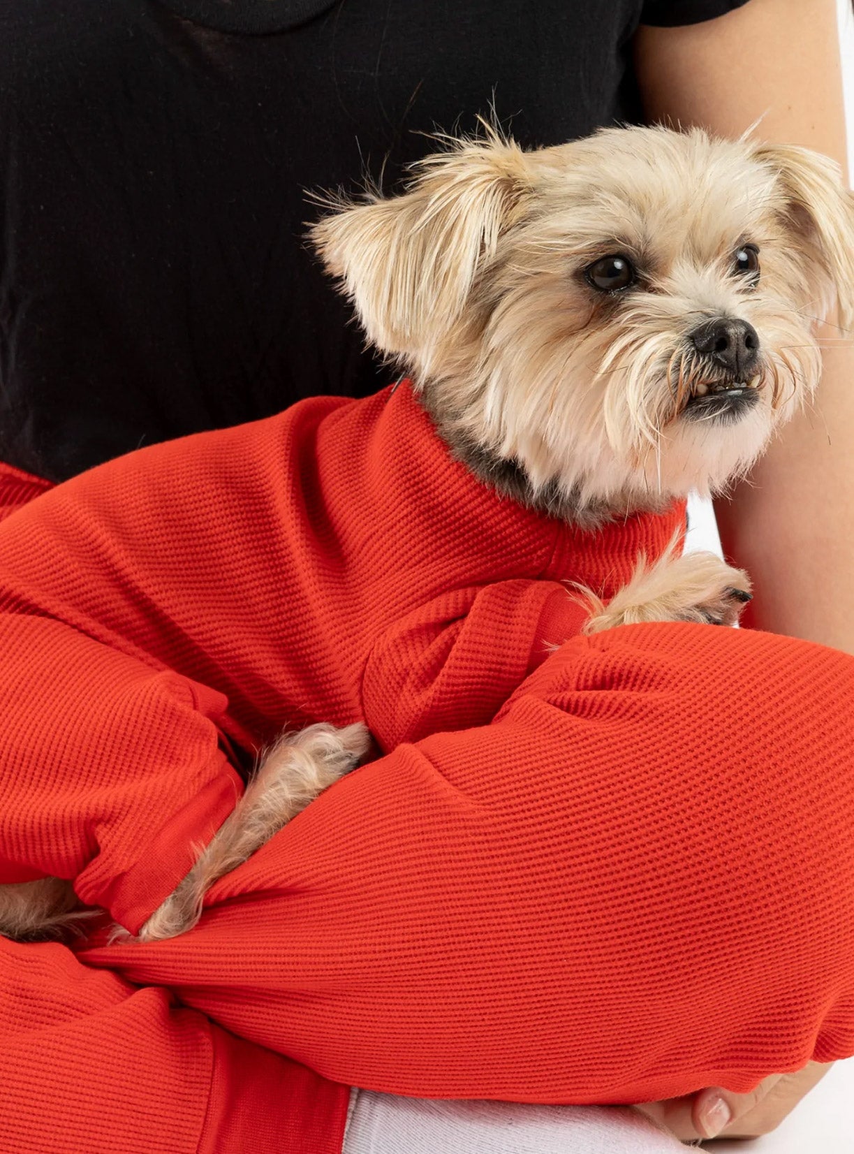 Buy One Dog Thermal Red PJ Get Free Human Matching - Silver Paw - 8372683 Canada Inc.