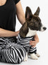 Buy One Dog Zebra PJ Get Free Human Matching