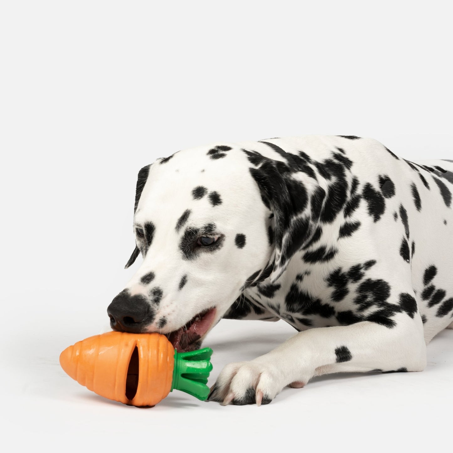 Carrot Dog Toy - Silver Paw