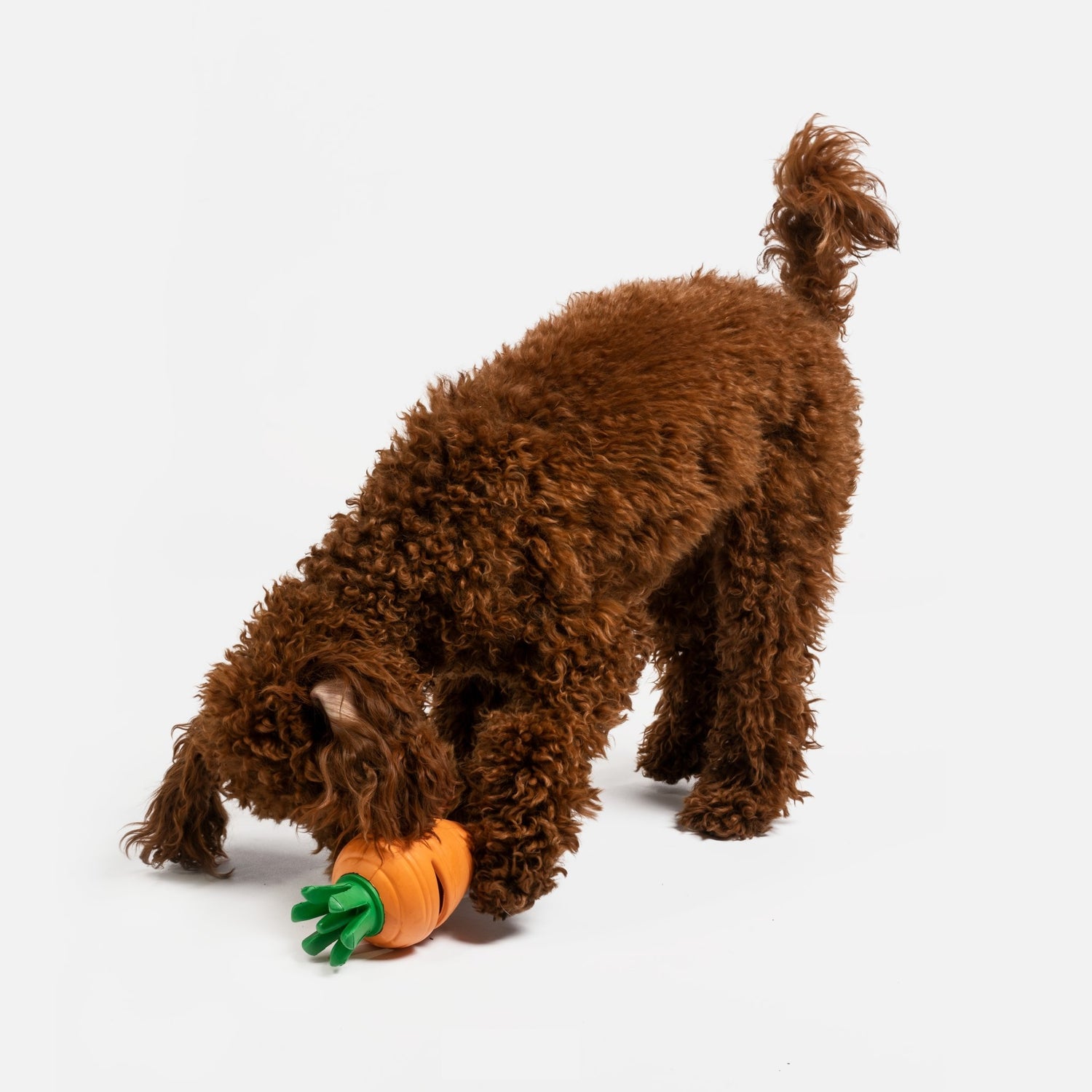Dover Saddlery® Rope Carrot Dog Toy