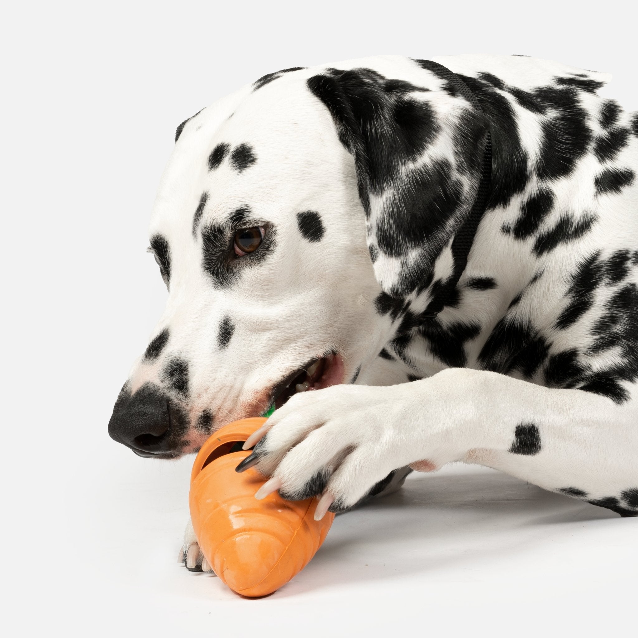 Carrot Dog Toy carrot garden dog toy Silver Paw