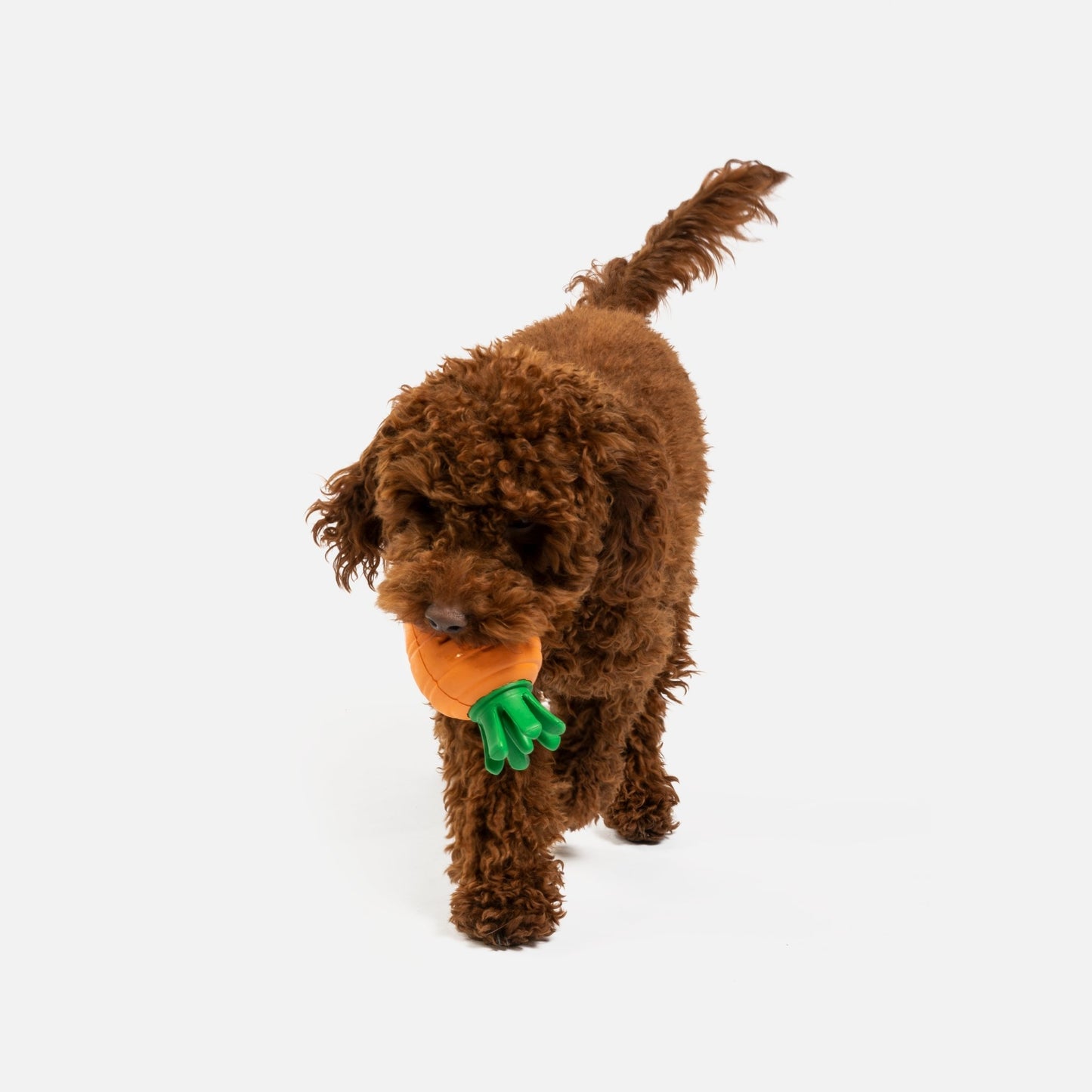 Duraplush® Carrot Dog Toy