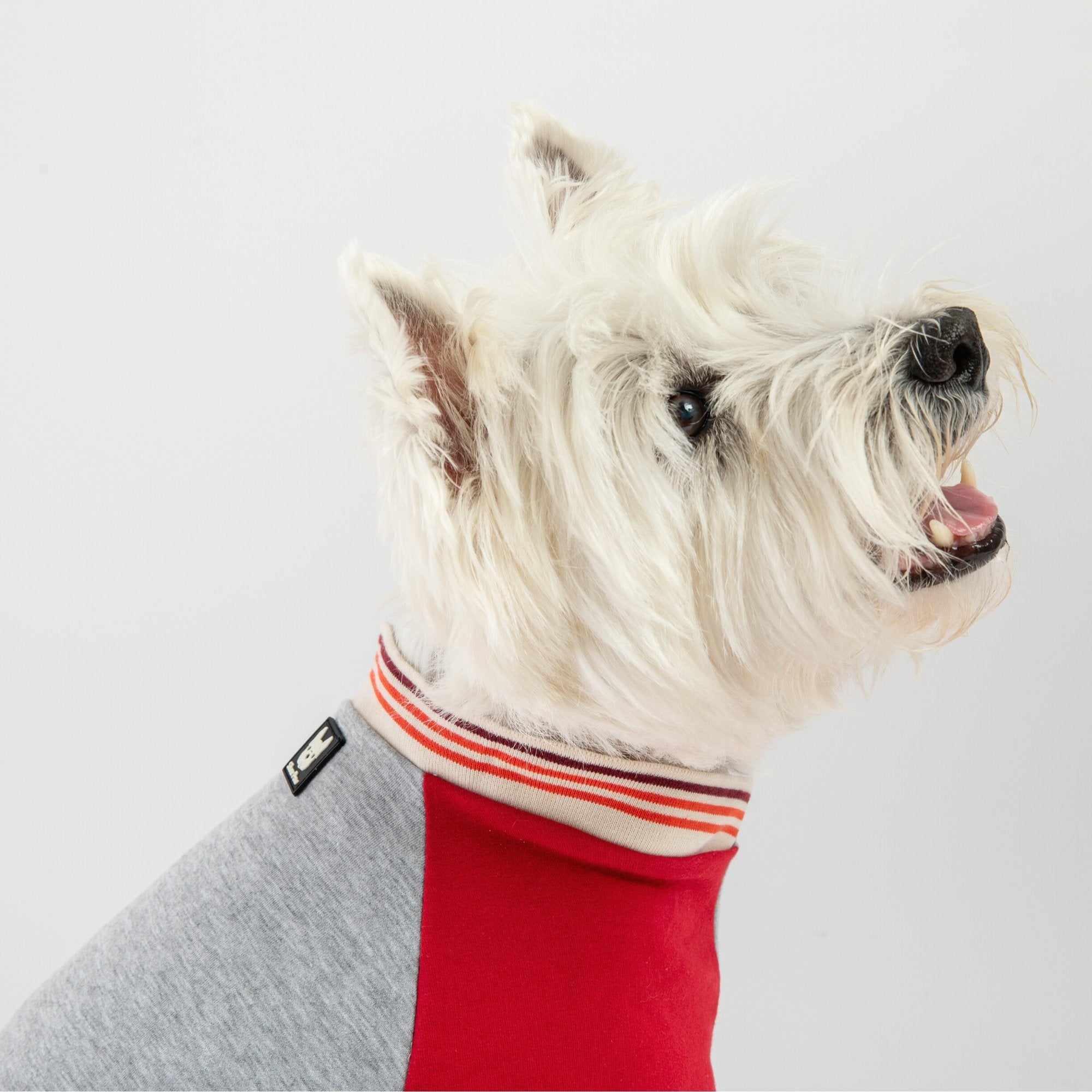 Chase Dog Sweatshirt - Red - Silver Paw