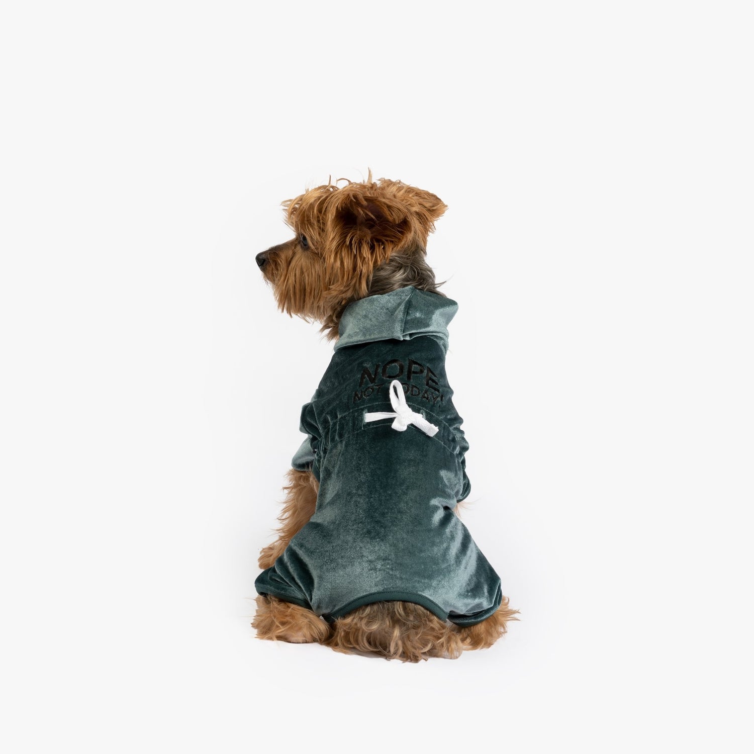 Coco Velour Pjs - Teal - Silver Paw