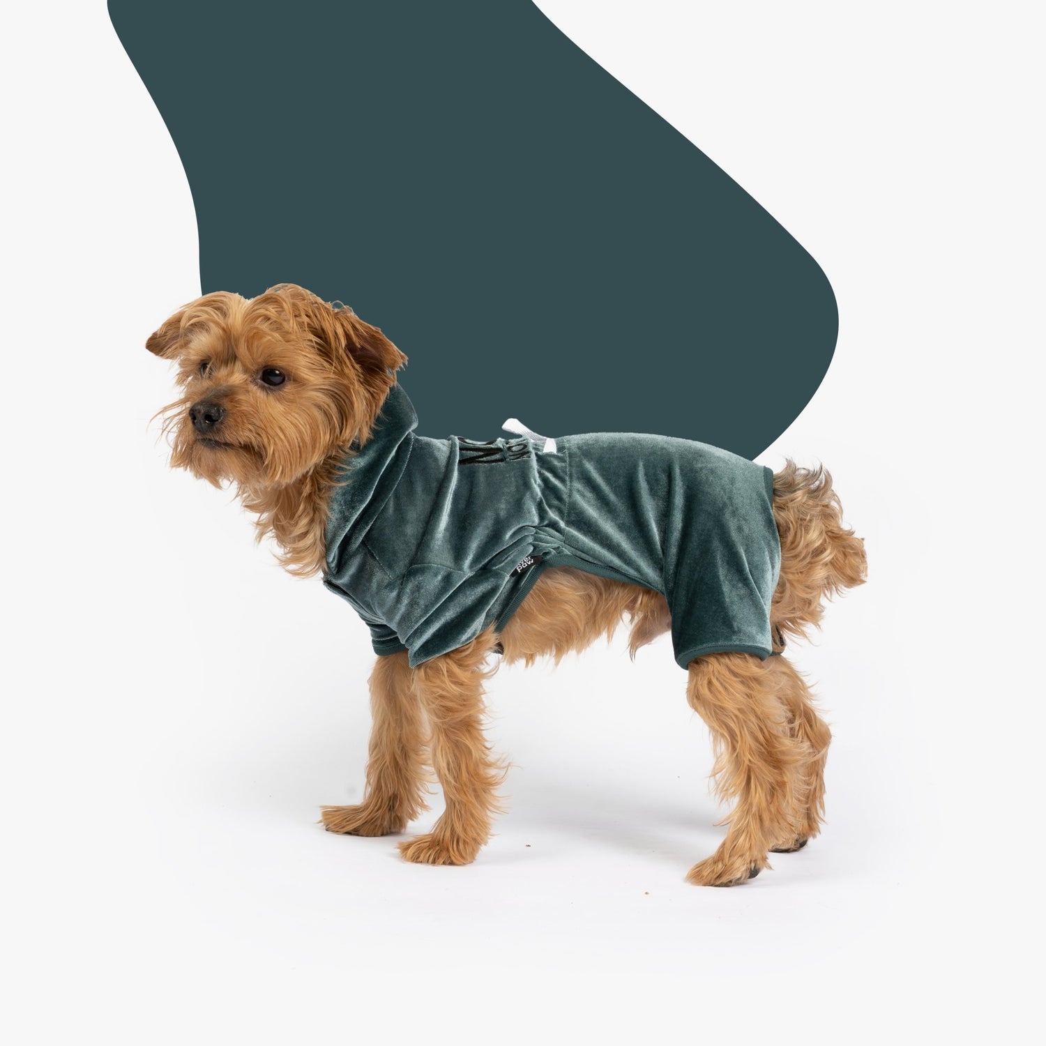Coco Velour Pjs - Teal - Silver Paw