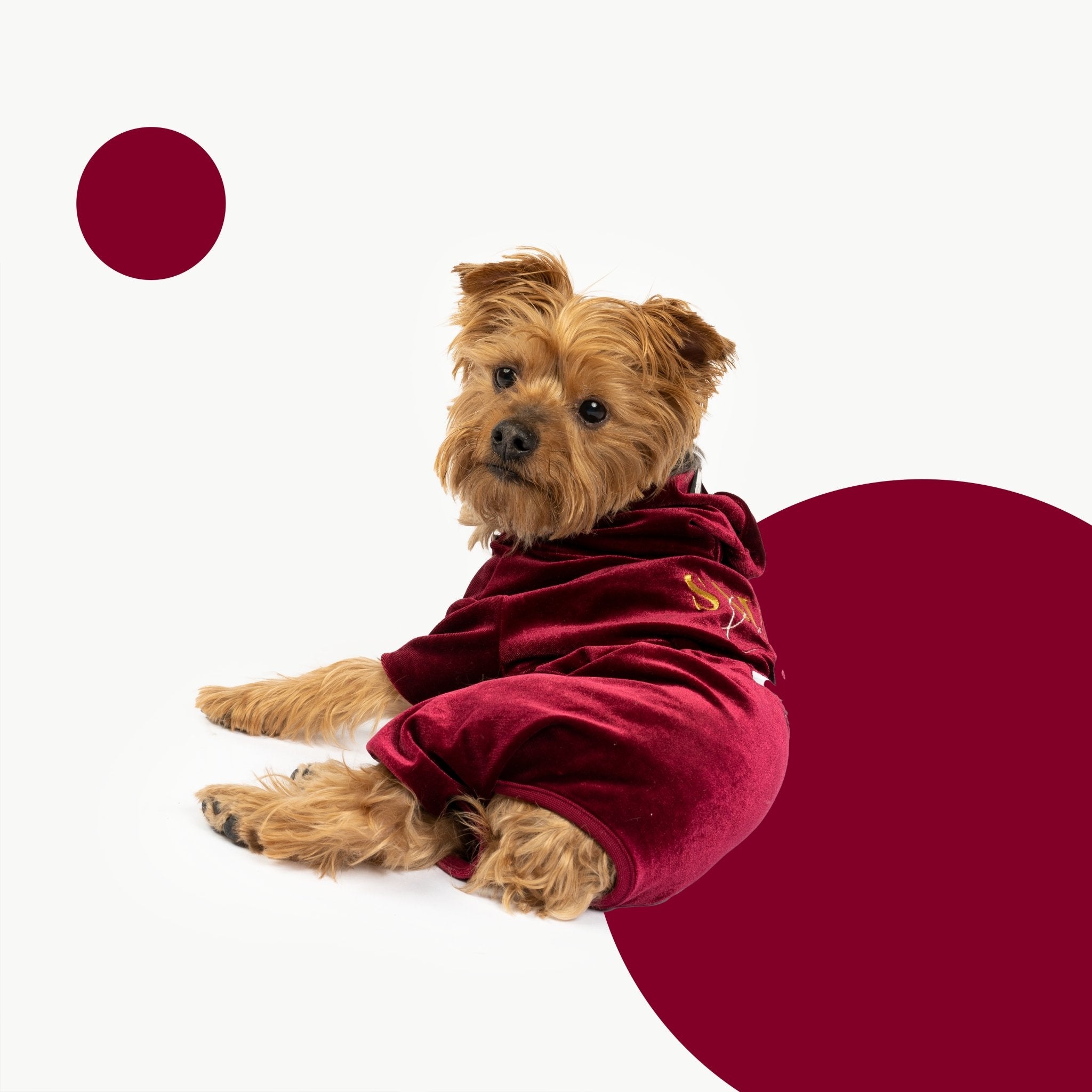 Coco Velour Pjs - Wine - Silver Paw