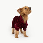 Coco Velour Pjs - Wine - Silver Paw
