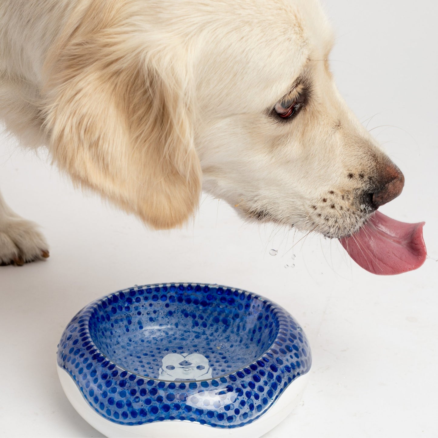Compact Cooling Dog Bowl - Silver Paw