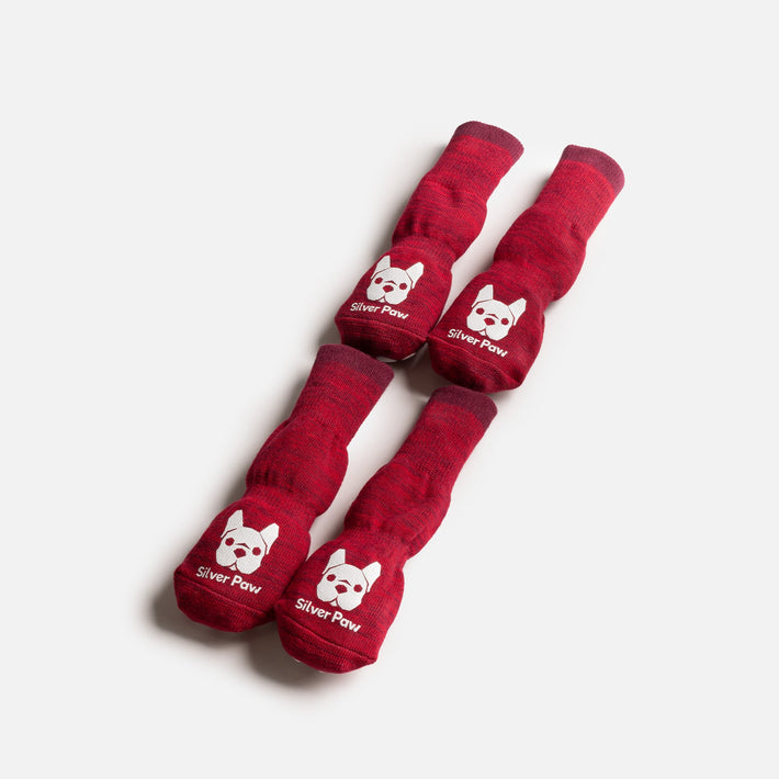Compression Dog Socks - Red - Silver Paw