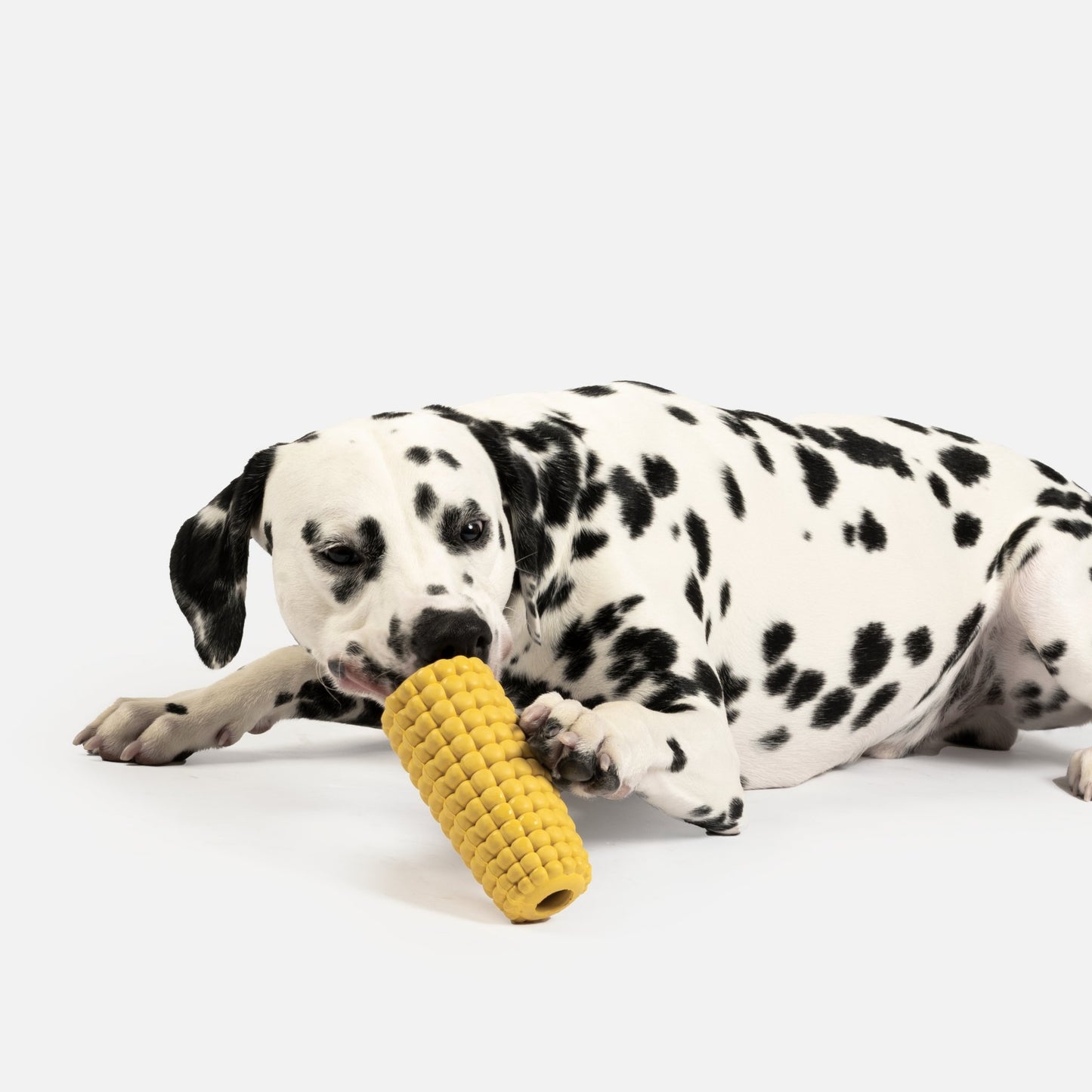 Corn Dog Toy - Silver Paw