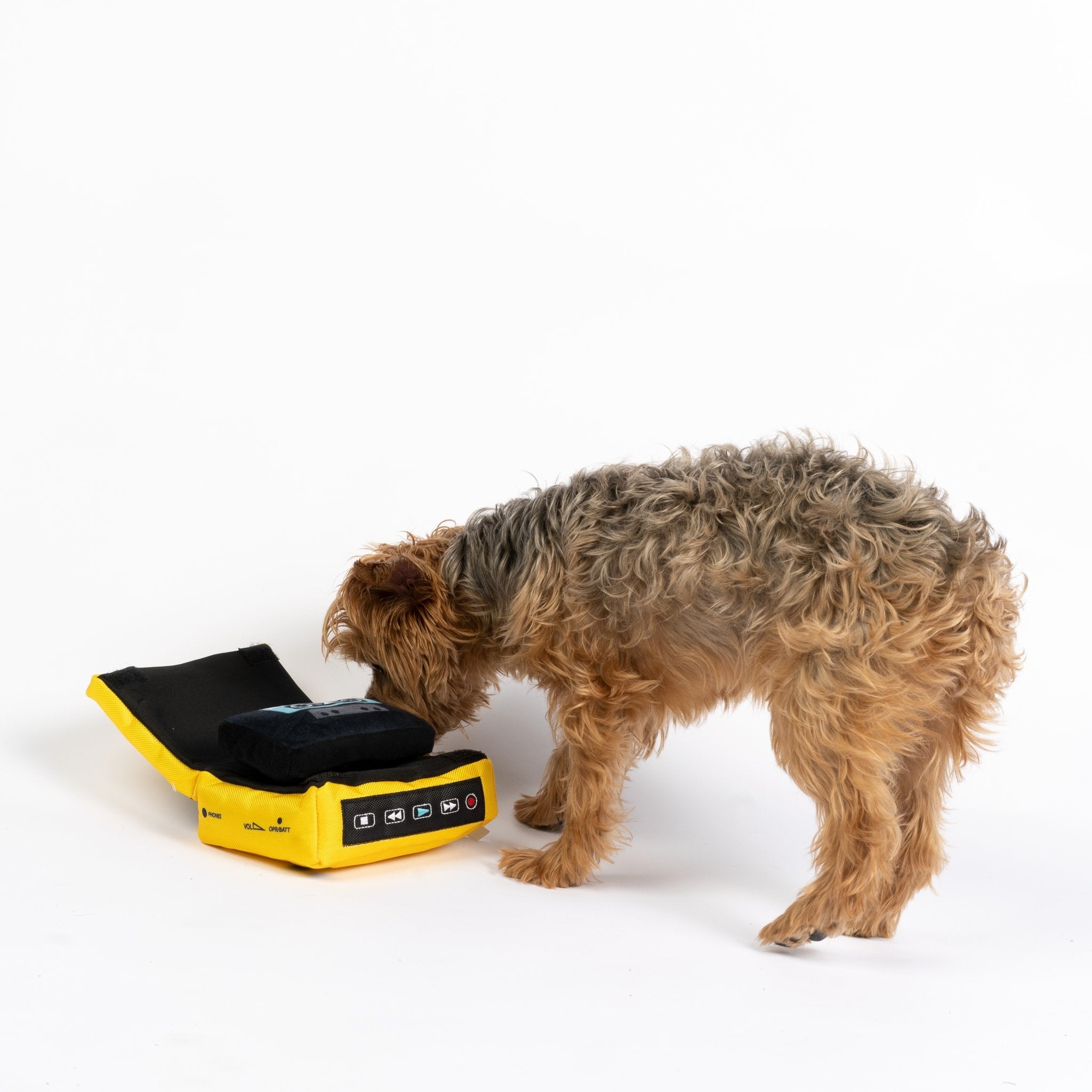 Dawgman Dog Toy - Silver Paw