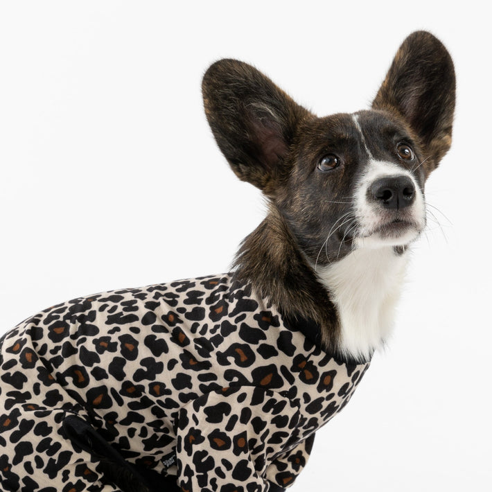 Dog Pajama - Leopard - Silver Paw