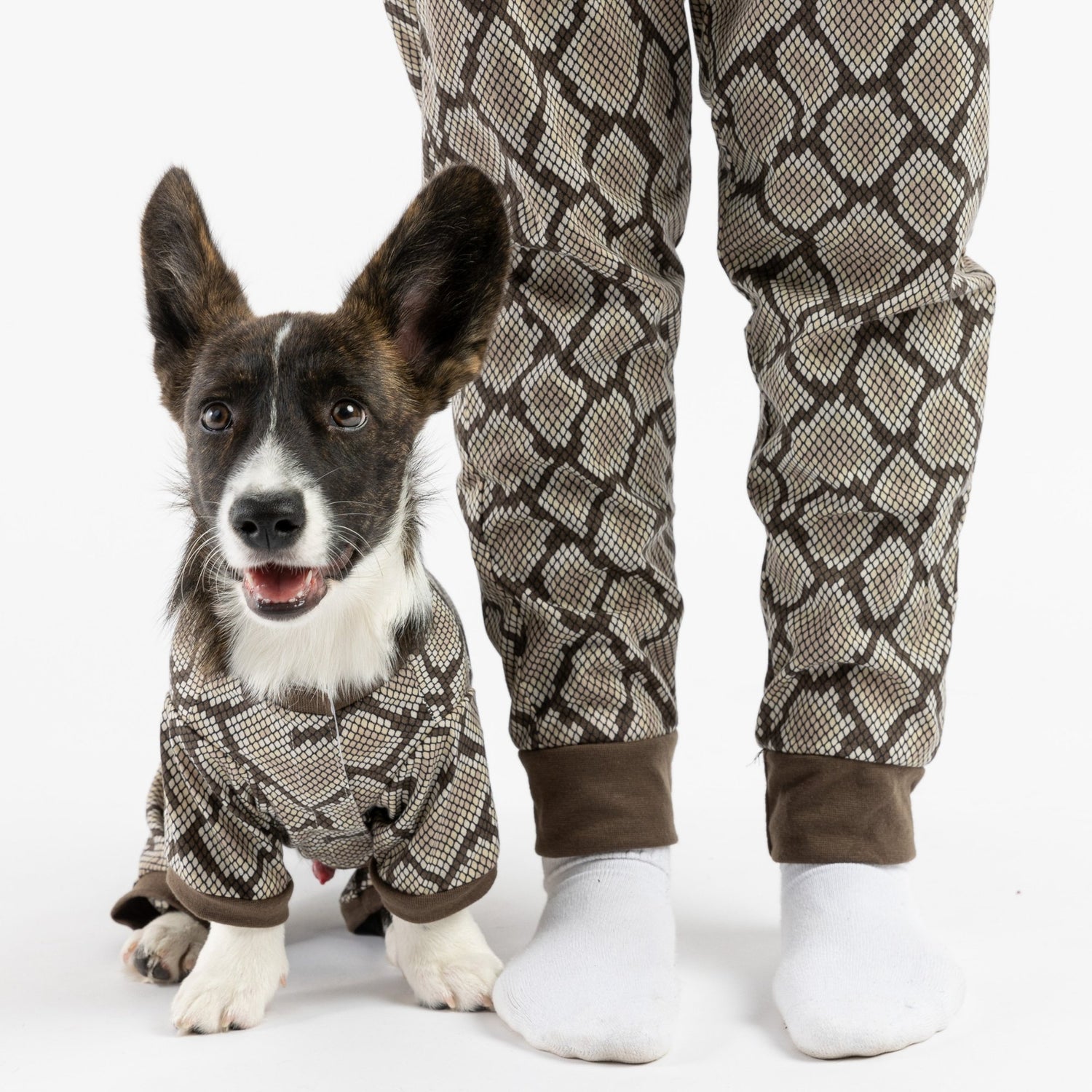 Dog Pajama - Snakeskin - Silver Paw