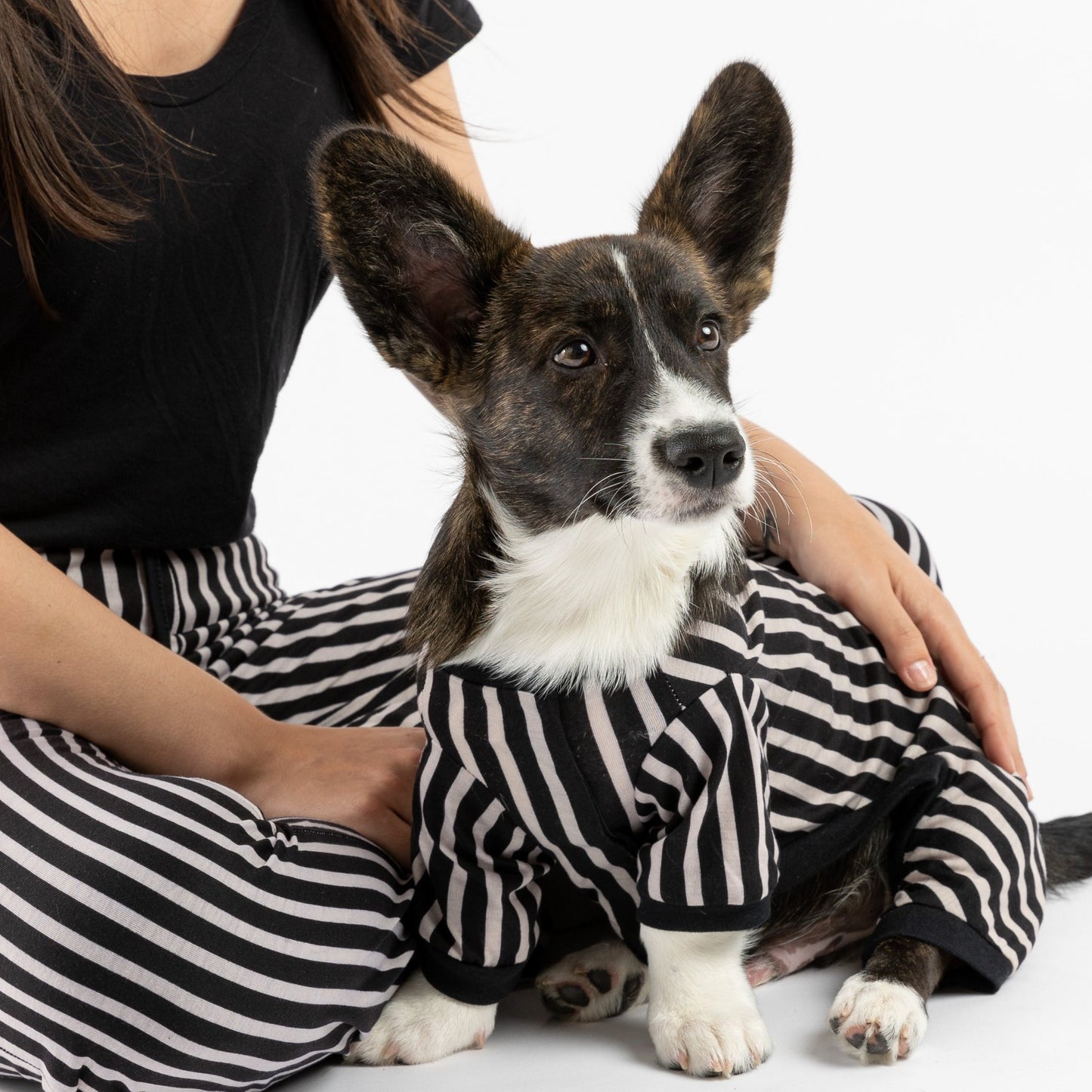 Dog Pajama - Stripe - Silver Paw