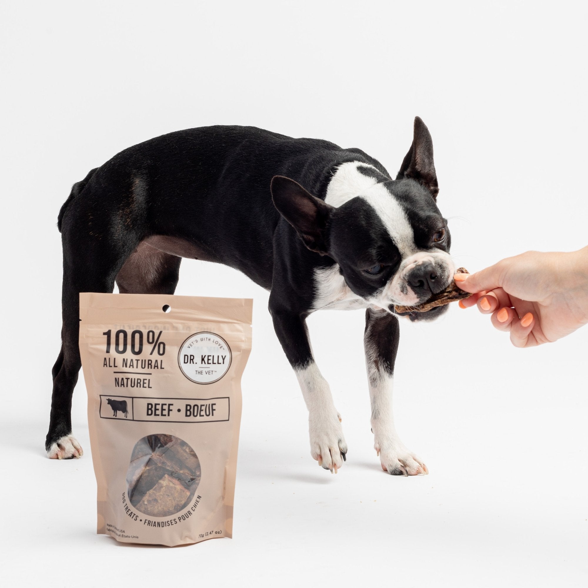 100 natural dog store treats