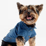 👖 Dusten Denim Dog Jacket – Stylish Distressed Jean Jacket with Poop Bag Pocket