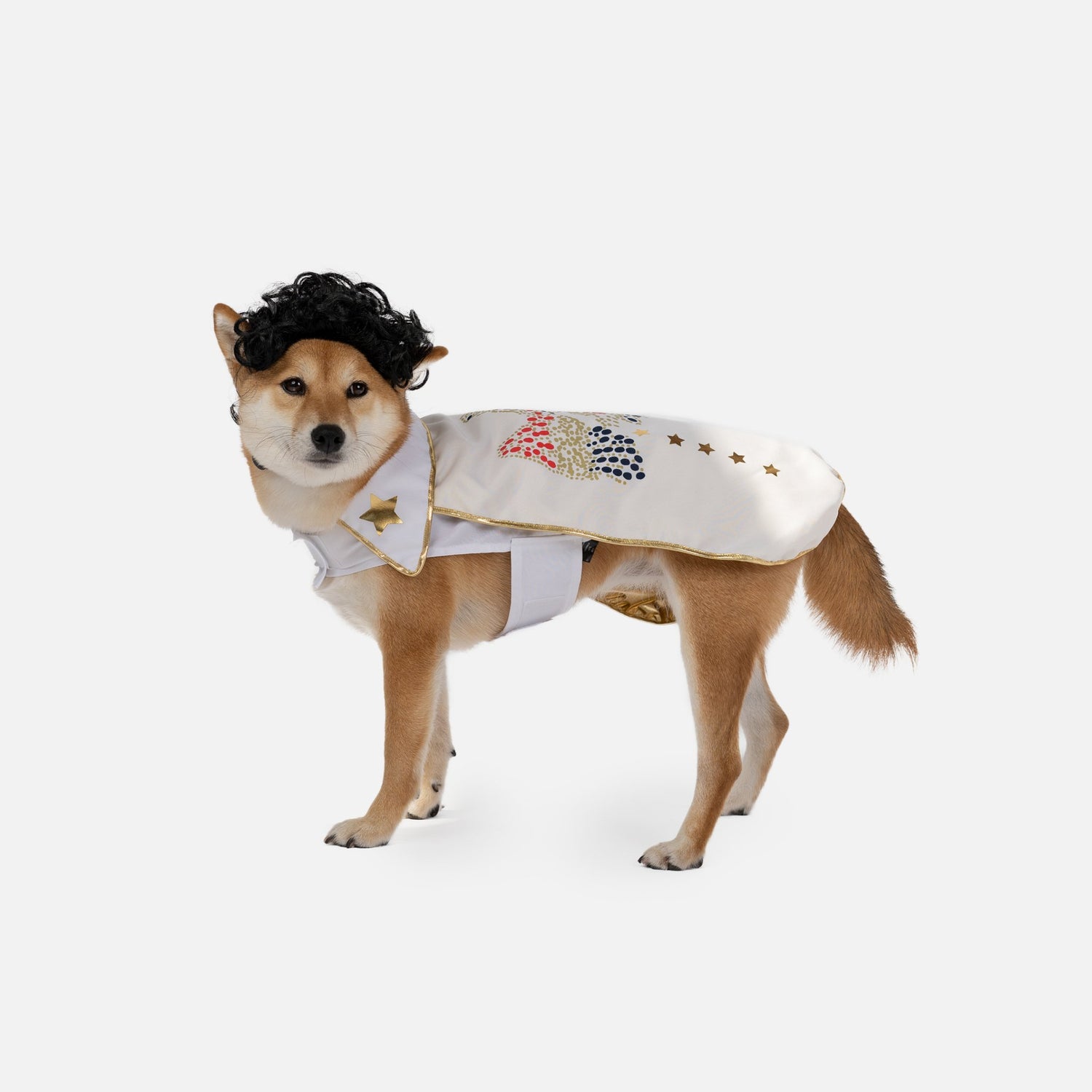 Elvis Showman Dog Costume - Silver Paw