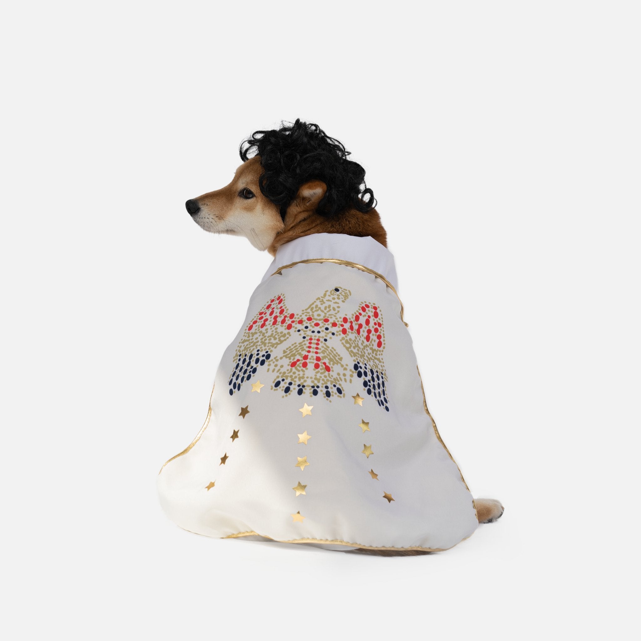 Elvis Showman Dog Costume - Silver Paw
