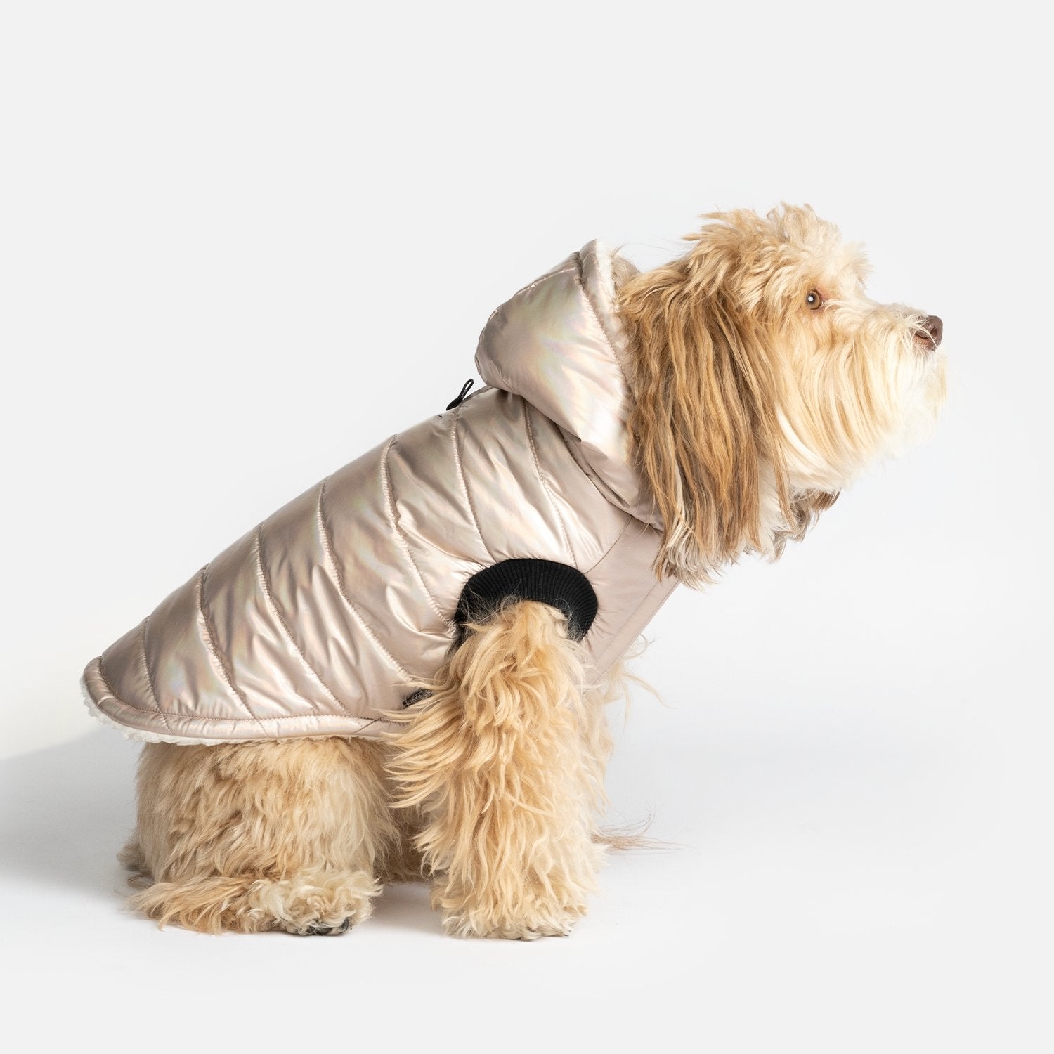 Emma Dog Jacket - Shiny Pink - Silver Paw