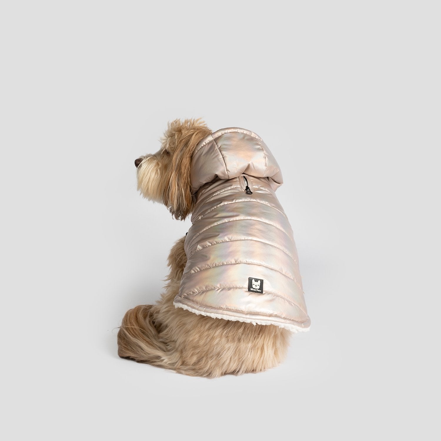 Emma Dog Jacket - Shiny Pink - Silver Paw