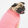 🎀🐾 Fifi Dog Sweater – Soft & Fuzzy Mock Neck Sweater for Small Dogs