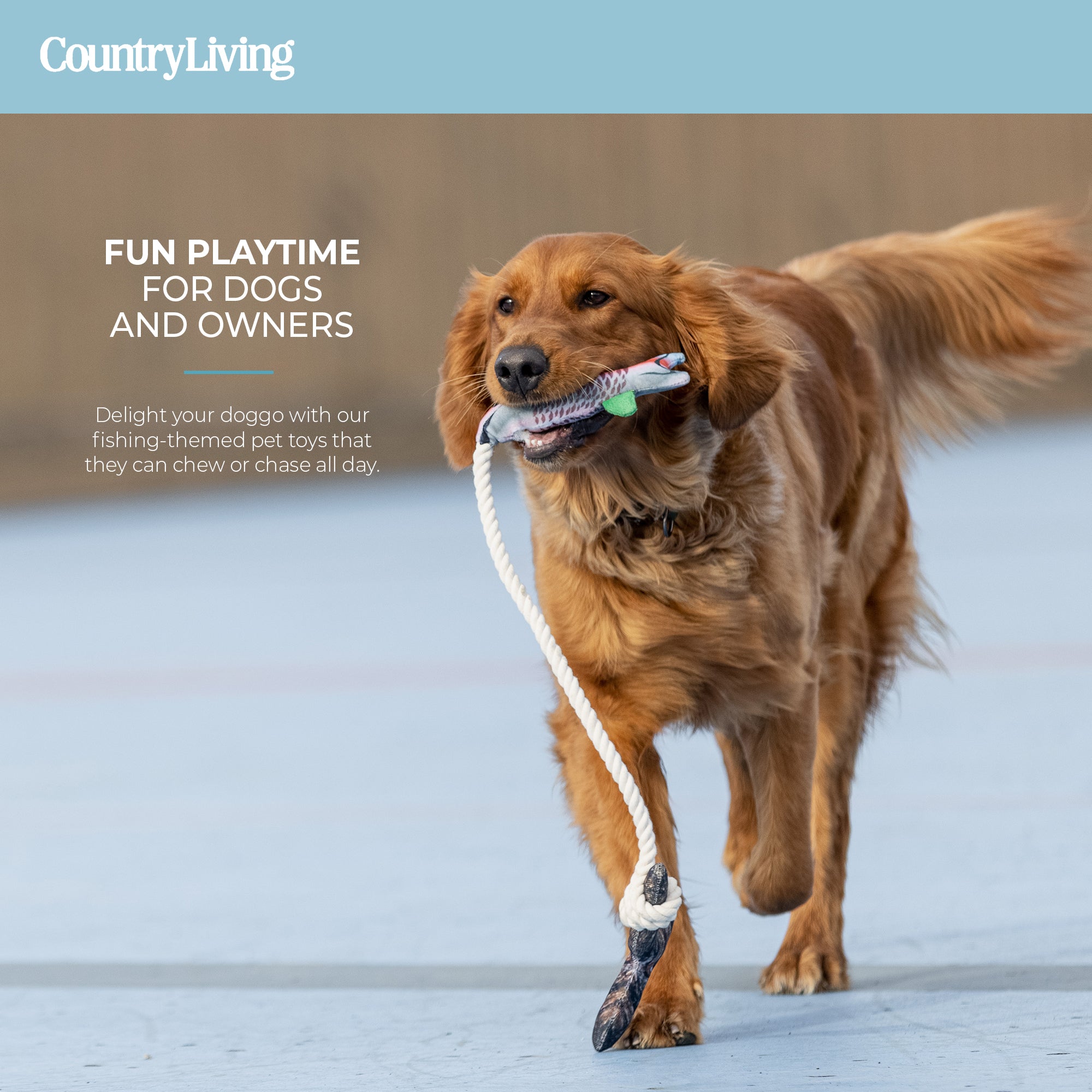 Fish & Mason Jar Dog Toys 2 Pack - Silver Paw