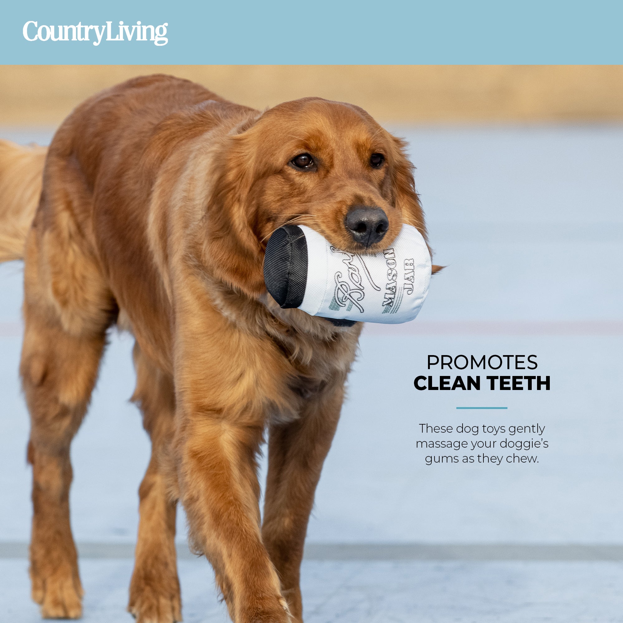 Fish & Mason Jar Dog Toys 2 Pack - Silver Paw