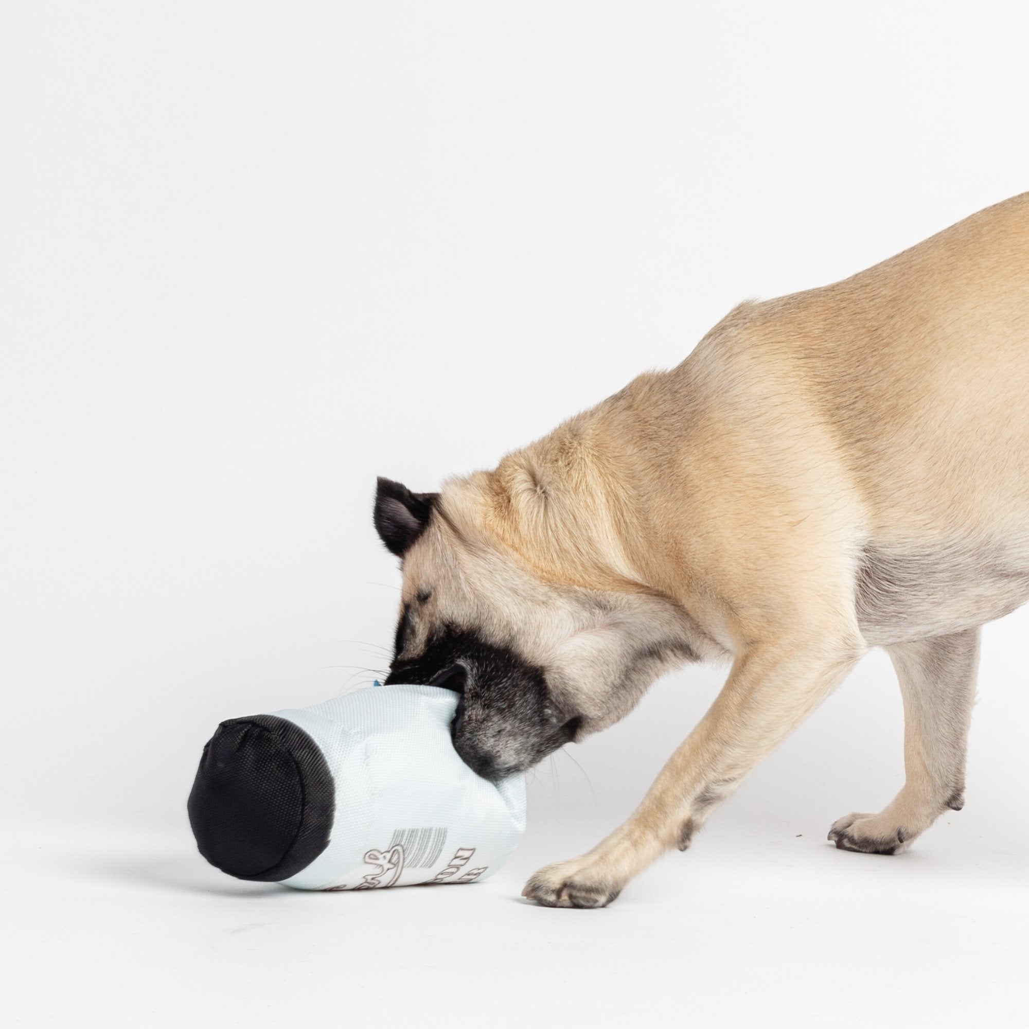 Mason jar best sale pet waterer